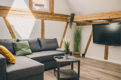 Bequemes Sofa in warmen Farbtönen mit Kissen, gegenüber einem modernen Flachbildfernseher an der Wand.